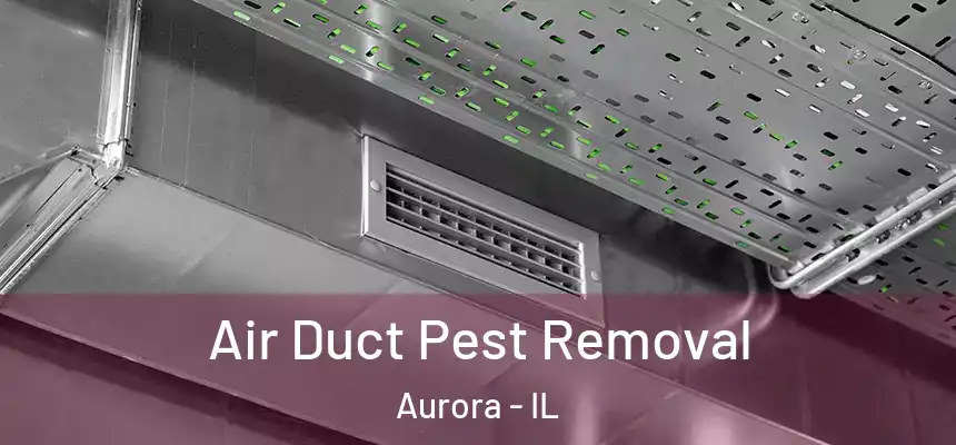 Air Duct Pest Removal Aurora - IL