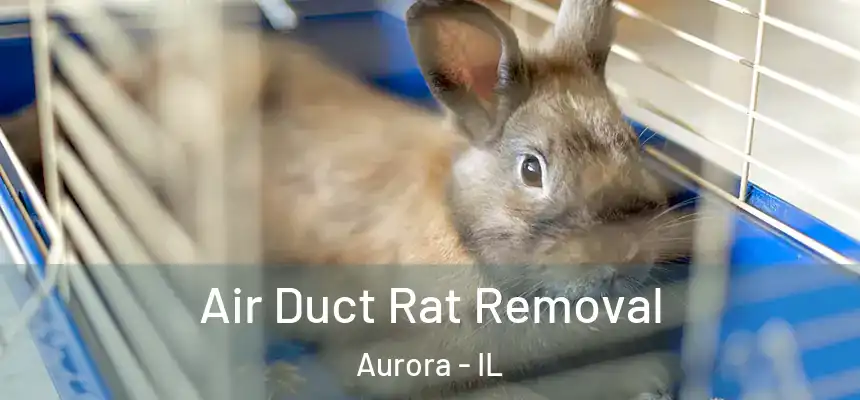 Air Duct Rat Removal Aurora - IL
