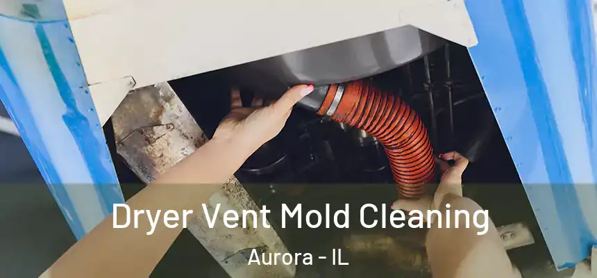 Dryer Vent Mold Cleaning Aurora - IL