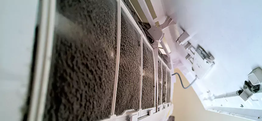 Preventive Air Duct Bacteria Removal in Aurora