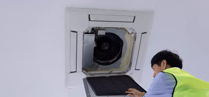Our Dryer Vent Sanitization Service Services in Aurora, IL