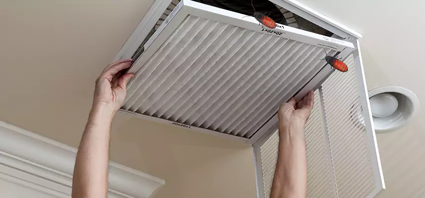 Our Insect Removal from Air Ducts Services in Aurora, IL