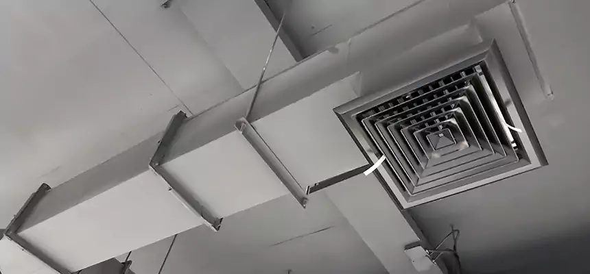 Our Rodent Droppings In Vents Services in Aurora, IL