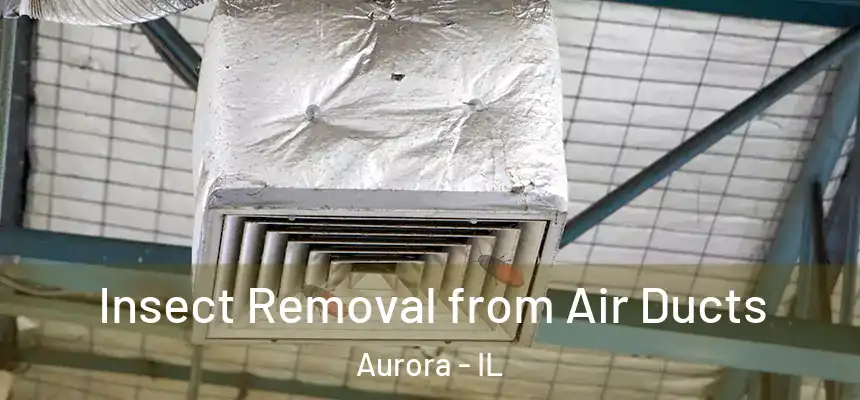 Insect Removal from Air Ducts Aurora - IL