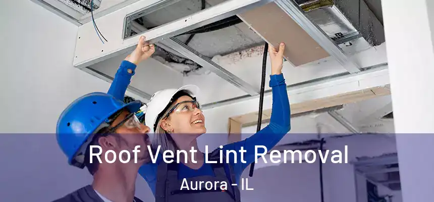 Roof Vent Lint Removal Aurora - IL