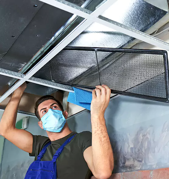 Professional Air Duct Pollen Cleaning in Aurora, IL