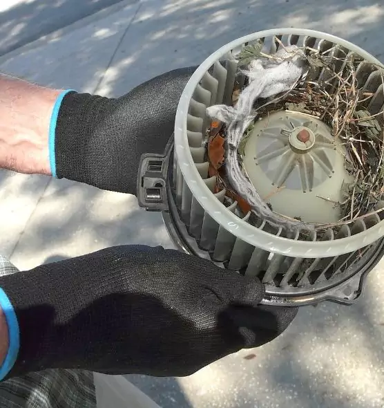 About Air Duct Rat Removal in Aurora, IL