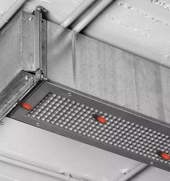 Affordable Insect Removal from Air Ducts in Aurora, IL