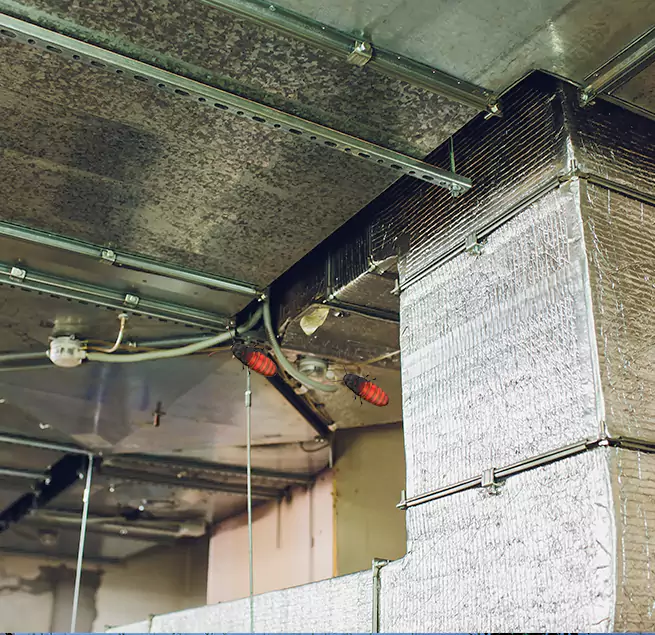 Why Homeowners & Businesses Trust Us in Aurora, IL?