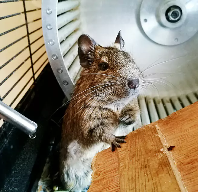 Why Homeowners & Businesses Trust Us Aurora, IL