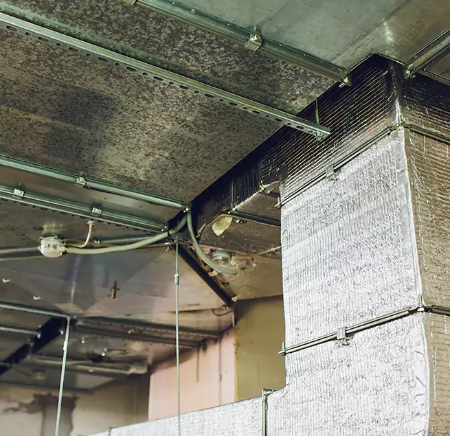 Why Homeowners & Businesses Trust Us in Aurora, IL?